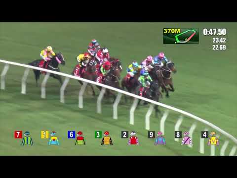 21/9/2022 (35) Street Scream -  Matthew Chadwick