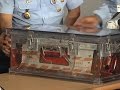 Officials Locate Black Box From AirAsia Crash - YouTube
