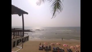 2014-11-05 Two Dogs on Anjuna Beach from Liliput Restaurant