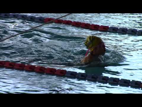 Castellan Aurora (5) 50RA - Colle Val d'Elsa 20.02.22