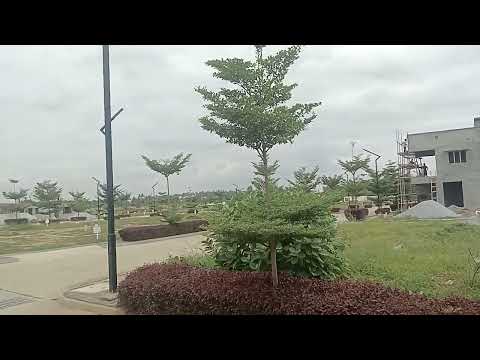 Walkthrough Walkthrough
