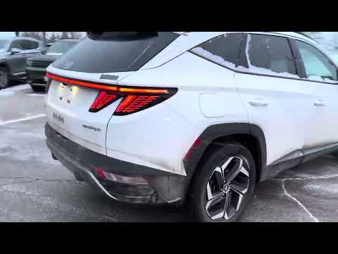 2024 Hyundai Tucson Plug-In Hybrid Ultimate AWD in White for sale at Finch Hyundai in London, ON