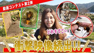 【衝撃映像続出！】第2回動画コンテスト結果発表！テーマ「スズメバチ」