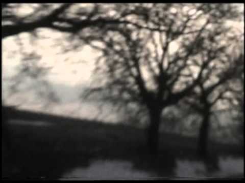 alexander hemala - Karel jede pro marhule