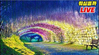 [뭐심을까] 이런 등나무 터널, 우리나라도 가능할까? (컬러 정원 식물 Top 6)