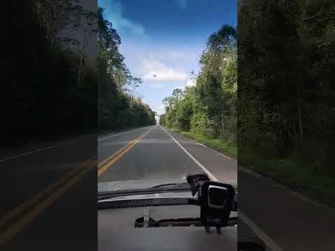 BR101. ,Reserva soretama ,Espírito Santo!!!
