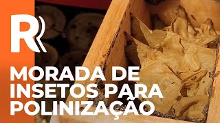 Miniatura do vídeo