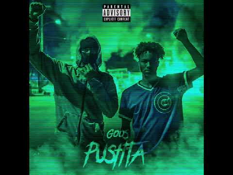 GOOS - PUSHTA