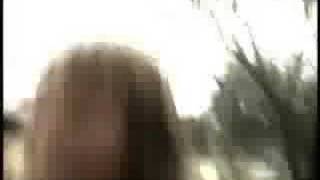 Turn Into Something by Animal Collective