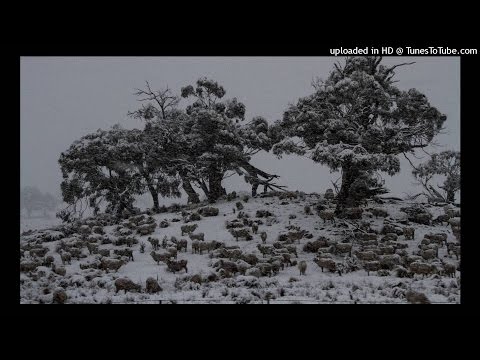 Borrowed Identity Mechanical Soul Brother - Groove On (Original Mix)