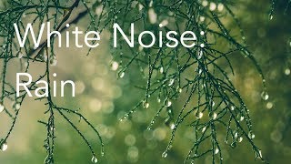 Raining Nature Soundtrack White Noise for Meditation or Sleep | 8 hour