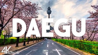 Top 10 Best Things to Do in Daegu, South Korea - Travel Guide 2026