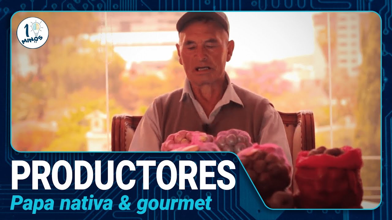 Productores Digitales: Abriendo Mercados con Habilidades Tecnológicas