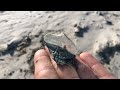Blown Away By The By-The-Wind Sailors, Velella Velella!! | Live From Monterey Bay!