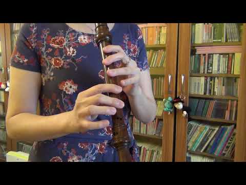 Anonymous ~ Saltarello 'Zorzi'