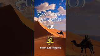 Download lagu වැලිකතරේ දිය දහරා 205 mp3