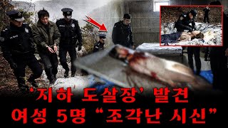 Download lagu 호엥성 비극: 집 아래 숨겨진 지옥… ‘도살업자 살인마’의 인간 도살장이 드러났다! mp3