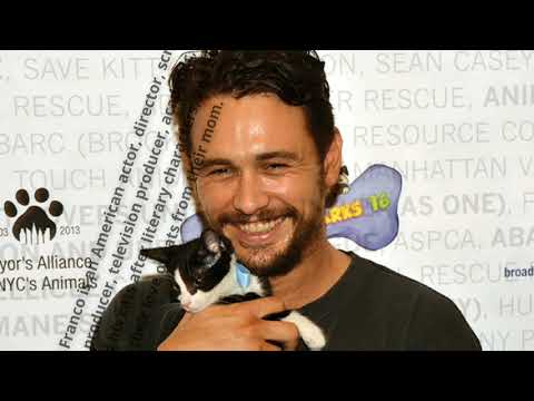 10 Famous Men Who Love Cats | Cat & Craft Co