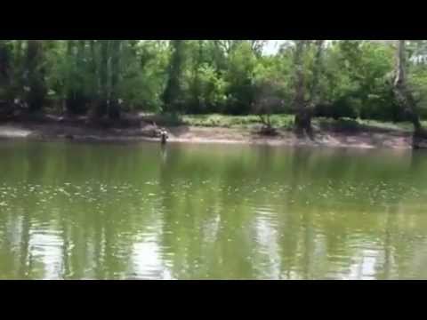 1st Annual Maumee vs. Perrysburg River Battle Fishing Tournament