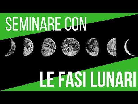 , title : 'IL CALENDARIO LUNARE 2018 | SEMINA ORTAGGI E FASI LUNARI |'