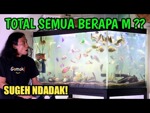 review-ikan-mahal-hasil-mancing-kalo-dijual-dapat-berapa-m