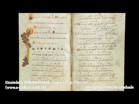 Introitus: In voluntate tua