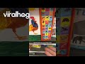 The Sound Caterpillars Make ViralHog
