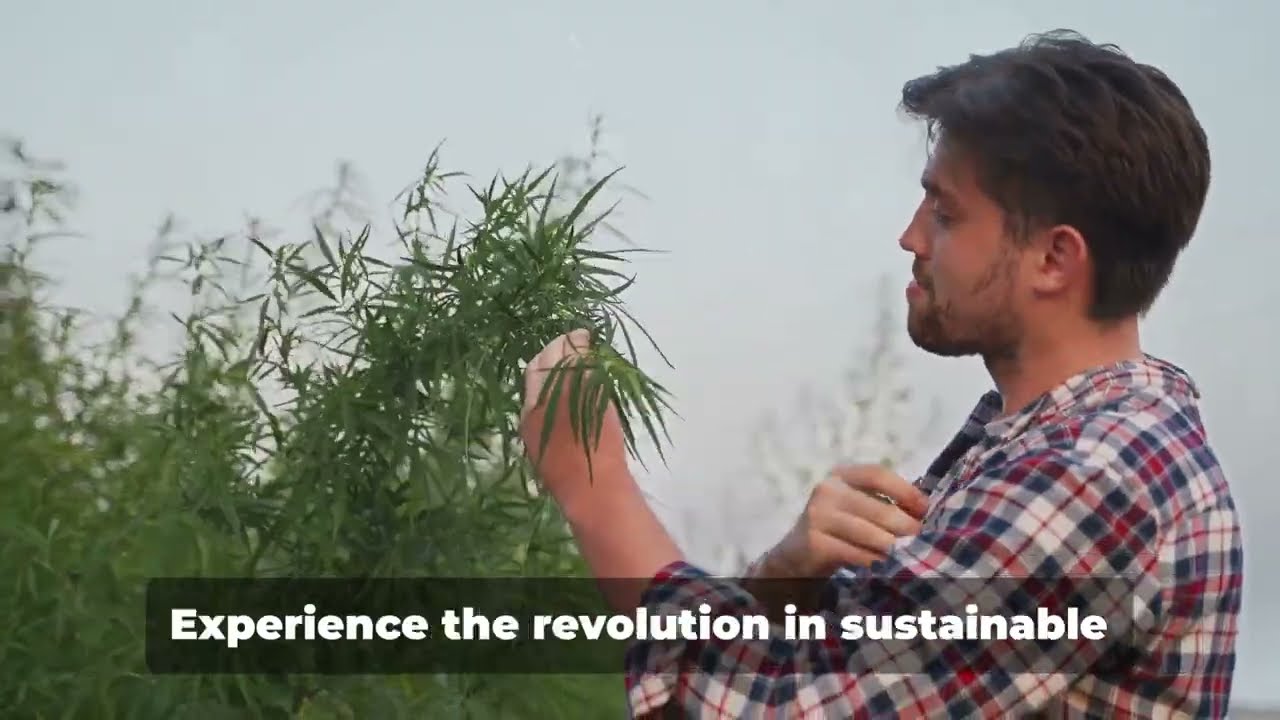 Hemp Home Cooperative: The Croatian Hemp Revolution