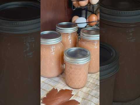 How to make & can applesauce!🍎(ONLY 2 INGREDIENTS!)   #canning #applesauce #fall #homestead #easy