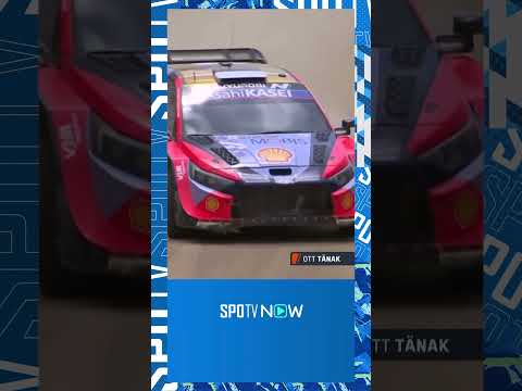 [WRC] 안정적으로 마지막 스테이지 종료하며 우승하는 오트 타낙