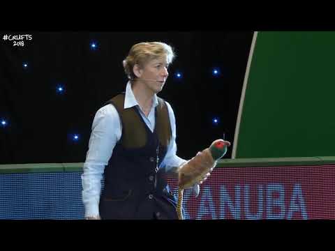 Phillipa Williams -Gundogs put on a Banging Display at Crufts 2018