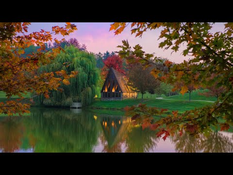 MY SAFE PLACE, Relax with the Celtic Harp - real Celtic Harp recording for relaxing and meditation.