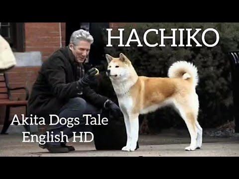 Hachiko | A (Akita Dog) Tale | English HD | English Classics Being LIMITLESS