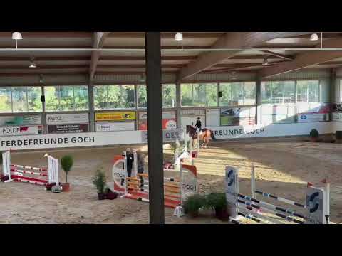 show video 16.10.2026