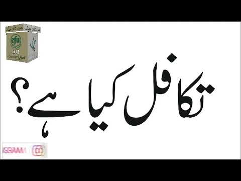 Introduction of Takaful ! Takaful in Islam ! types of Takaful ! new video 2019 Hemayah Takaful Jhang