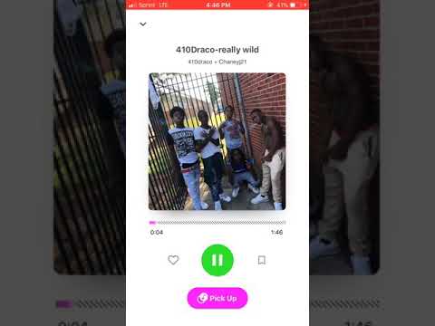 SNLDraco-Really Wild