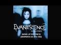 Evanescence - Going Under Lyrics English-Español ...