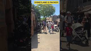 Disneyland  Crowd Level Is Crazy!  #fun #crowd #family #news #live #love #update