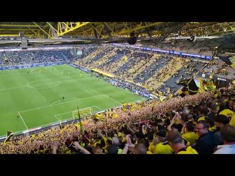 Südtribüne singt 1. FC Köln! Borussia Dortmund - Gladbach 13.05.2023