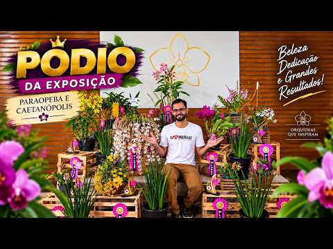 Conheça as Orquídeas Premiadas na XXV Exposição de Paraopeba e Caetanópolis