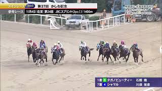 2025年かしわ記念参考レース