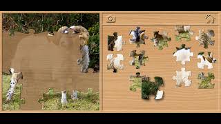 🐏 Ram Jigsaw Puzzle - Animals Puzzles for Kids Walkthrough