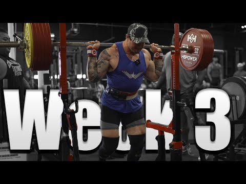 American Pro Prep | Week 3