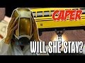 Historectomy: Caper | Chapter 7 
