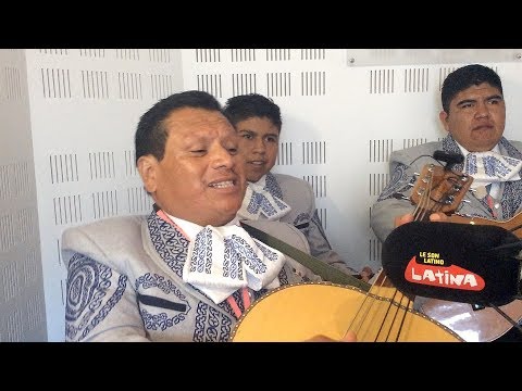 Latina à l'heure mexicaine