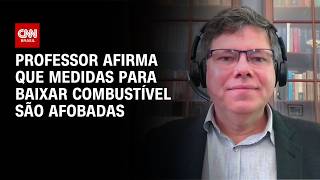 Vídeo: Medidas para baixar combustível são afobadas, afirma professor | AGORA CNN