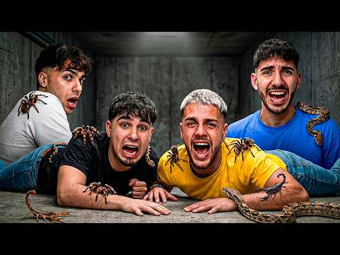 Si Gritas Pierdes Pero en la Vida Real!