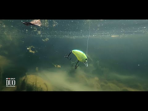 Lure Masterclass: Realis Crank M65 11A - How To