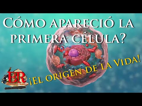 Cómo apareció la primera célula? El Origen de la vida.