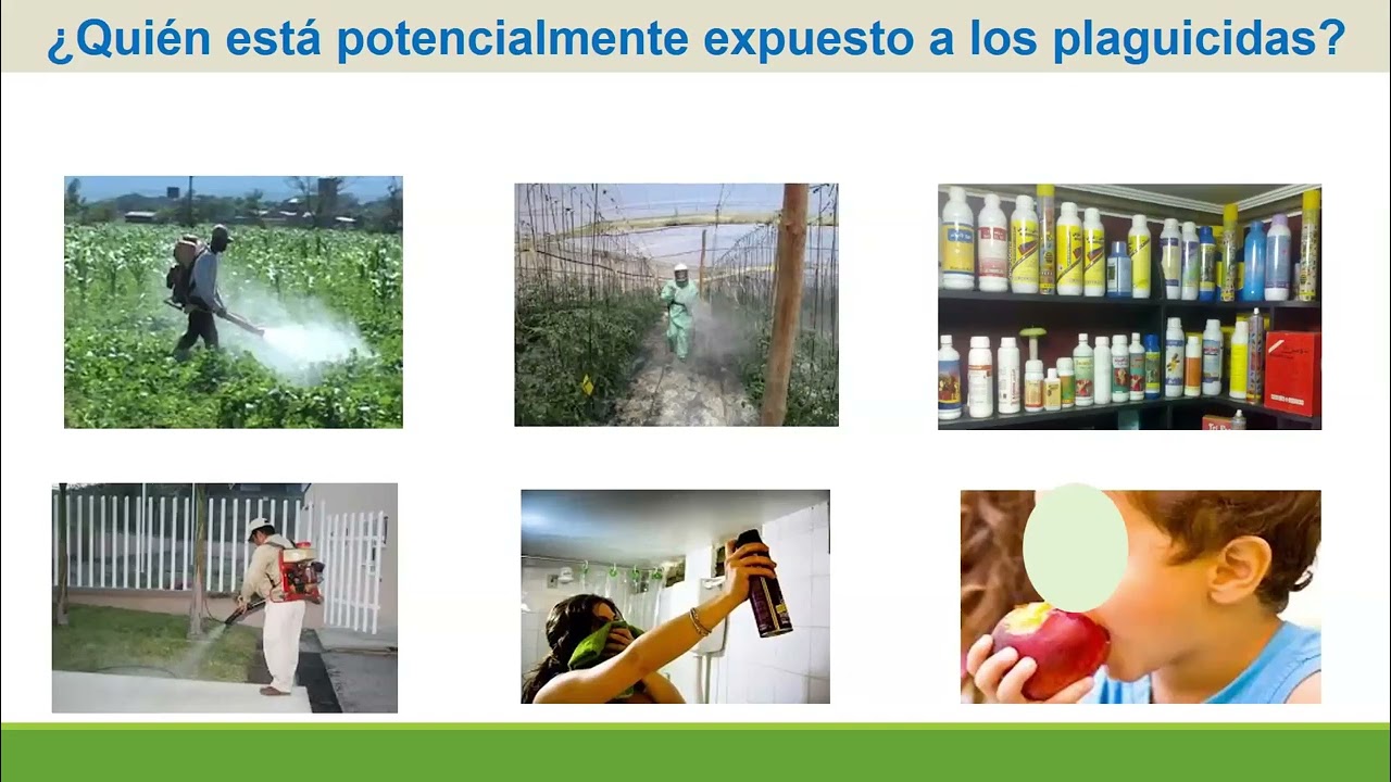 Generalidades de plaguicidas